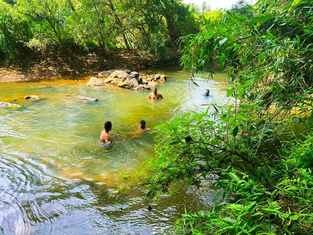 Roshara Nalla Giriulla Ngoại thất bức ảnh